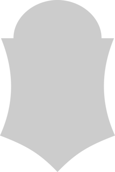 Shield vector