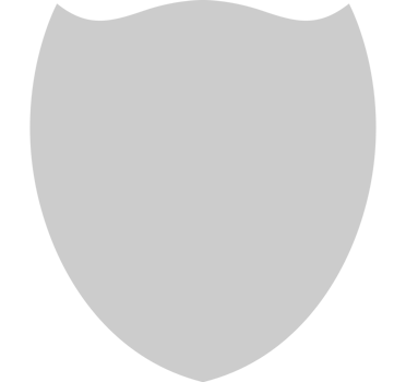 Shield vector