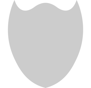 Shield vector