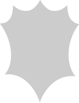 Shield vector