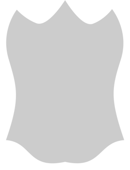 Shield vector