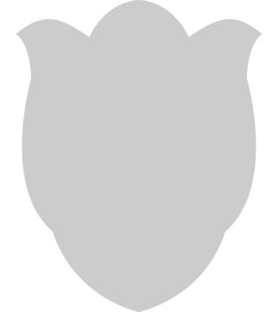 Shield vector