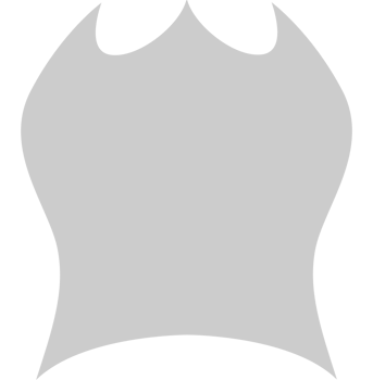 Shield vector