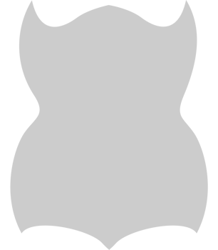 Shield vector