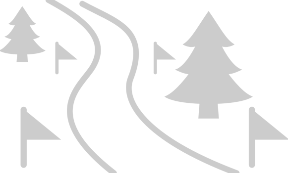 Skiing vector