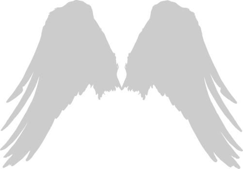 Angel Wings vector