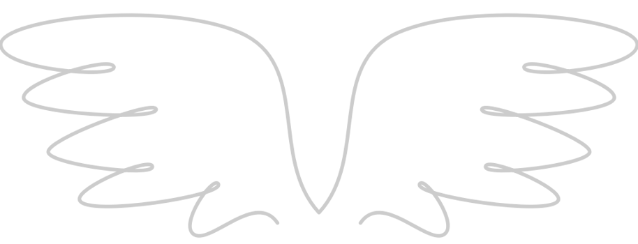 Angels Wings vector