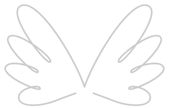 Angels Wings vector