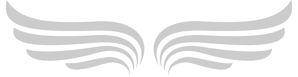 Angels Wings vector