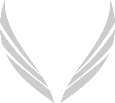 Angels Wings vector