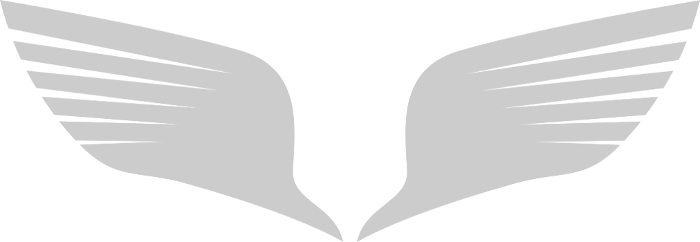 Angels Wings vector