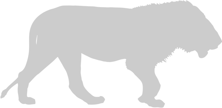 Wildcat vector