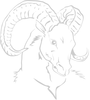 Ram head vector