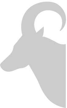 Ram vector