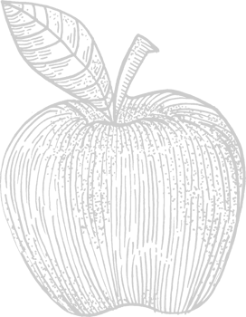 Apple vector