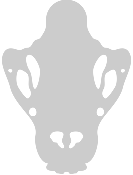 Skull lion vector
