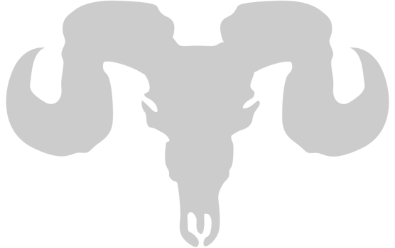 Skull bull vector