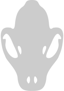 Skull cheetah vector