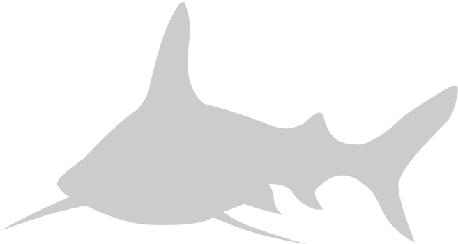 Animal Causes Shark vector