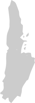 Art vector
