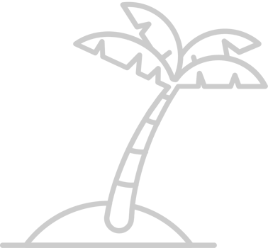 Coconut Tree vector