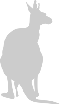 Animal Causes Kangaroo vector