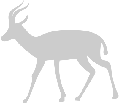 Animal Causes Gazelle vector
