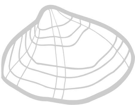 Shell vector
