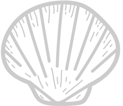 Clamshell  vector