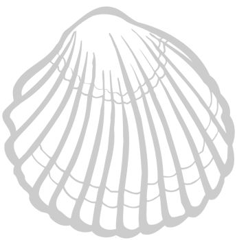 Shell vector