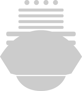 cruise ship vector