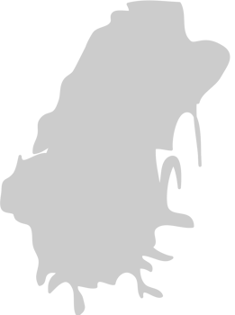 Splatter mud vector