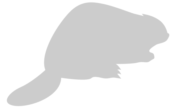 Beaver vector