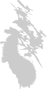 Splatter vector