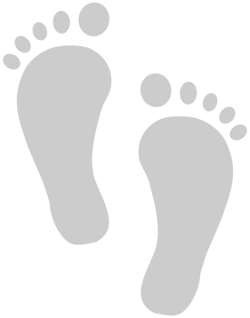 Footprints  vector