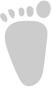 Footprints vector