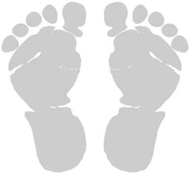 Footprints vector