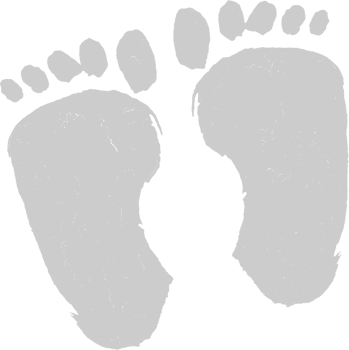 Footprints vector
