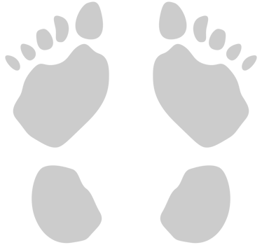 Footprints vector
