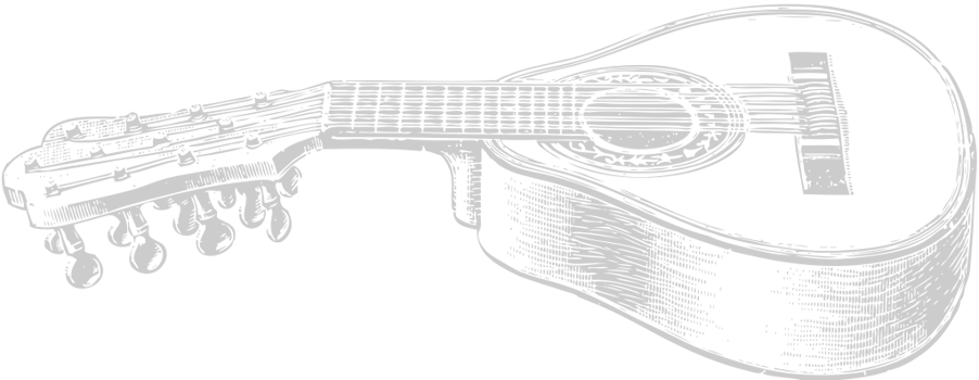 Guitar vector