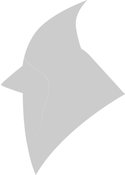 Cardinal head vector