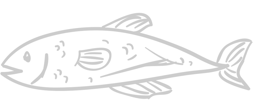 Fish  vector