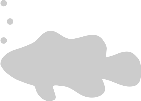 Fish vector