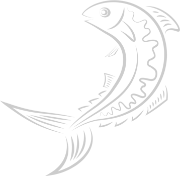 Fish vector