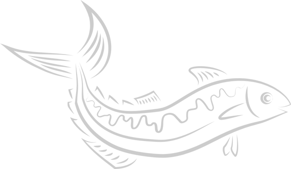 Fish vector