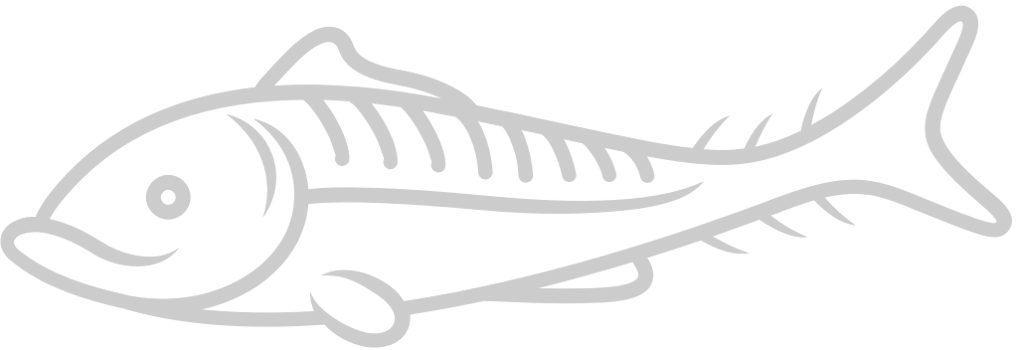 Fish  vector