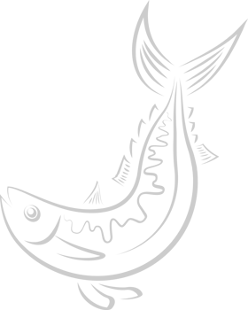 Fish vector