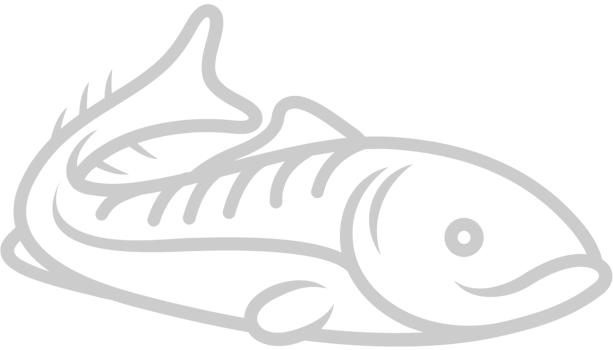Fish  vector