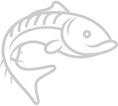 Fish  vector