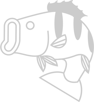 Fish vector